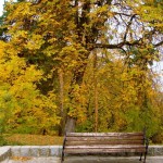 O toamnă “nebun de frumoasă la Cluj”
